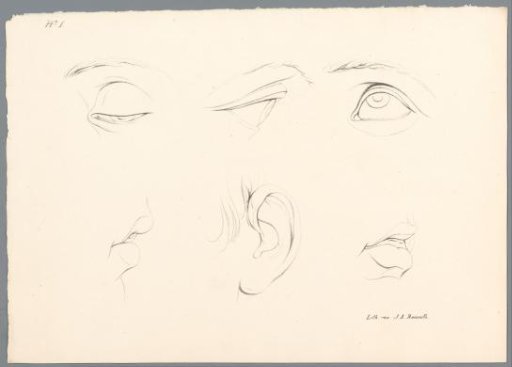 Three eyes, two mouths and an ear