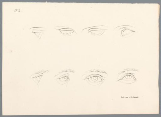 Eight eyes
