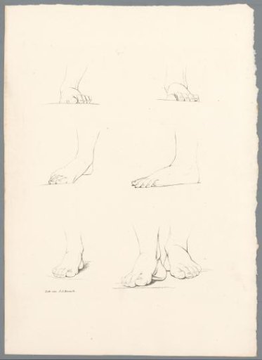 Seven feet