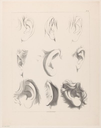 Nine ears