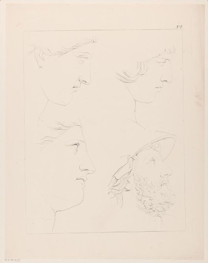 Four profiles