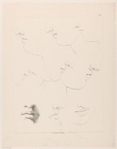 Drawing studies of mouths, noses, and chins
