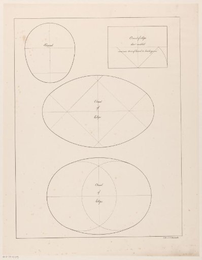 Drawing studies of ovals