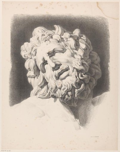 Head of Laocoön