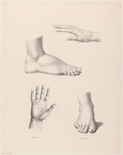Two feet and two hands