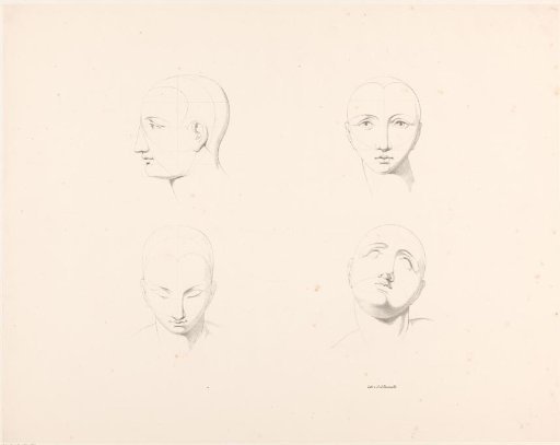 Four positions of the head