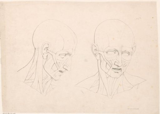 Drawing example with two heads
