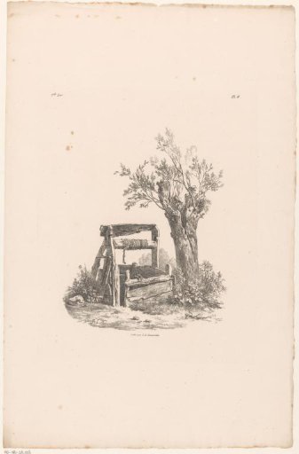 Water well near a pollard willow