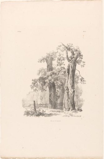 Two trees in a landscape