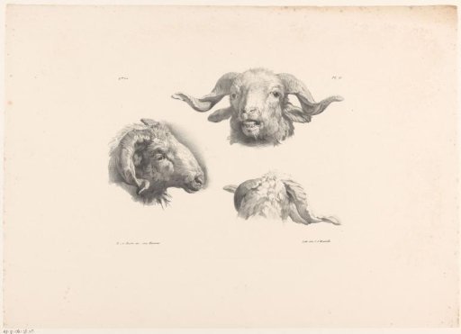 Three ram's heads