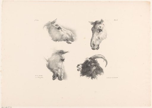 Three horse heads and a goat's head