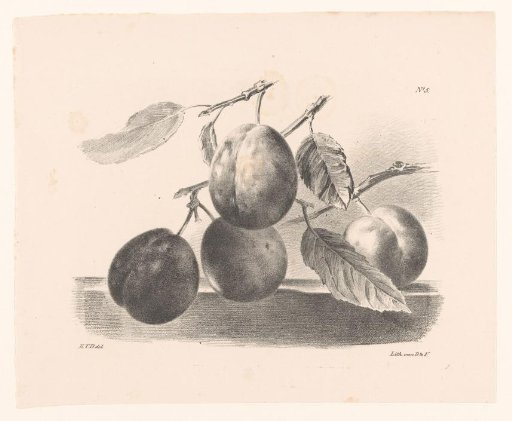 Plums on branches
