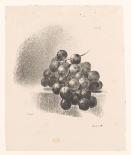 Bunch of grapes on a table