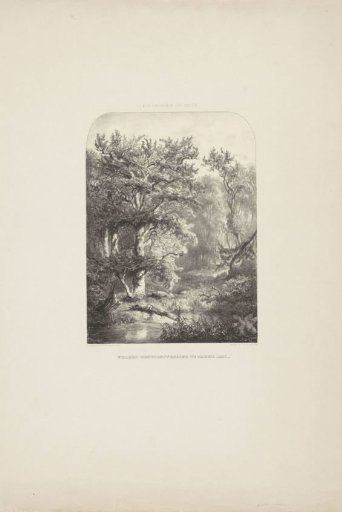 Woodland View
