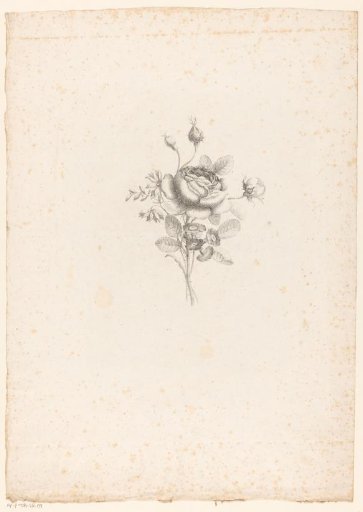 Bouquet of flowers
