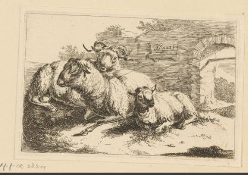 Ram and two sheep