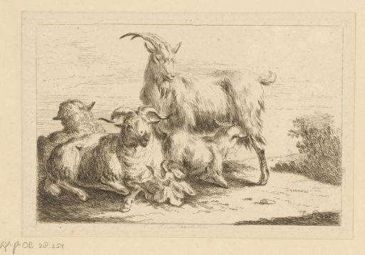 Goat, ram and two sheep