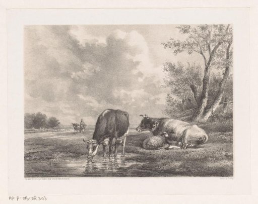 Two cows and a sheep by the water