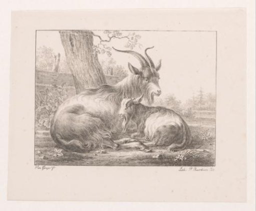Billy goat and goat in landscape