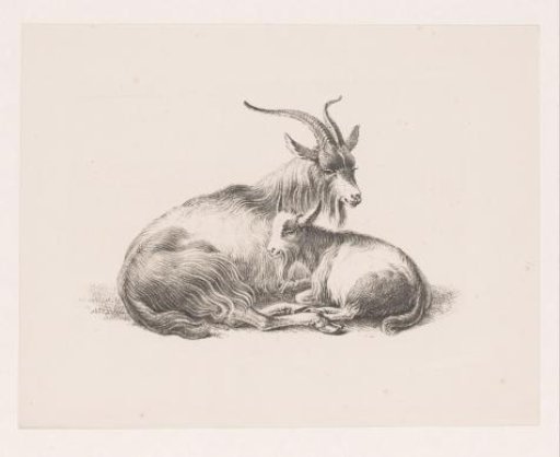 Billy goat and a goat