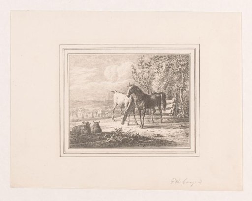 Two horses and two sheep in a meadow