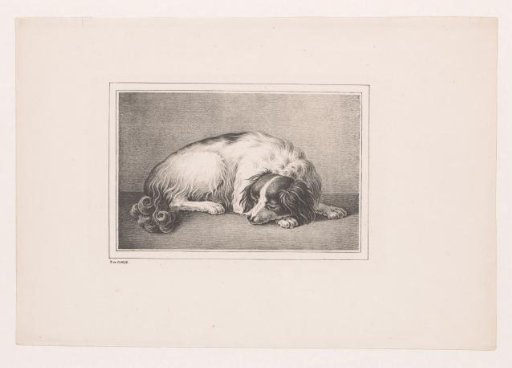 Sleeping dog