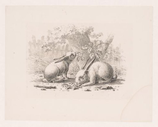 Two rabbits nibbling on leaves