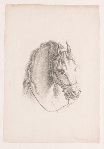 Horse's head with bridle