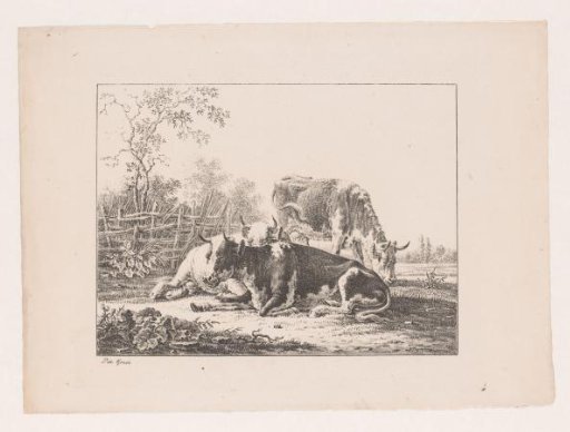 Three cows in a meadow by a fence