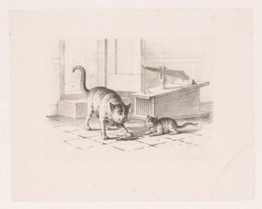 Mousetrap and two cats