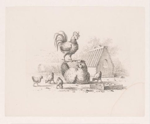Rooster, hen and chicks