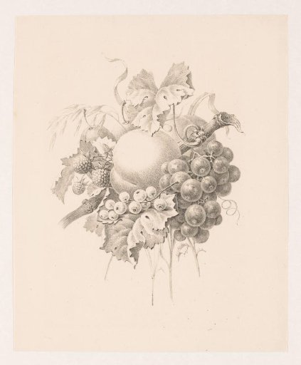 Composition of Fruit