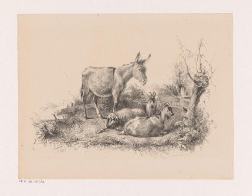 Donkey, sheep and two goats in a landscape