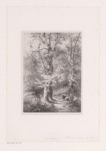 Wood gatherers in the forest
