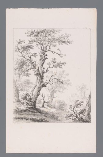 Landscape with trees and shrubbery