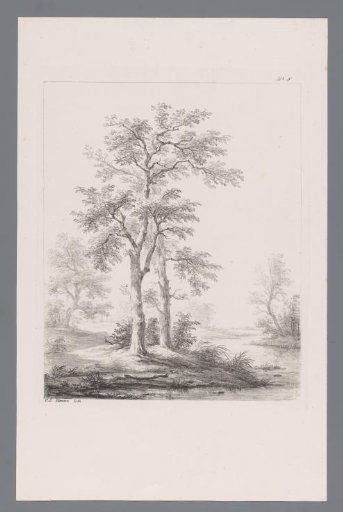 Two Trees by a River