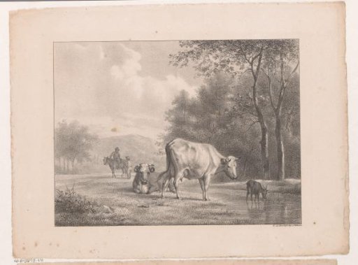 Two cows and a goat by a pool of water