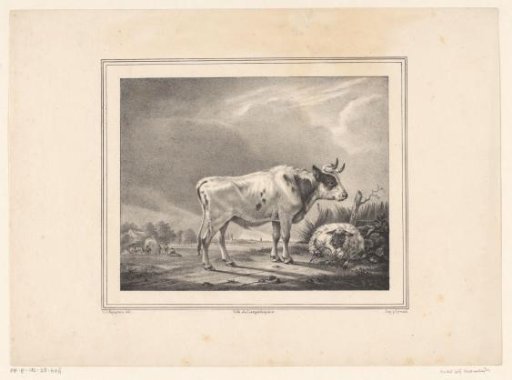 Standing Cow and Lying Sheep in a Landscape
