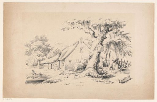Farmhouse and two trees