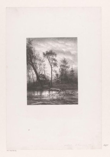 Forest landscape with a broken tree