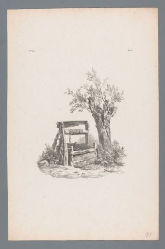 Well and pollard willow