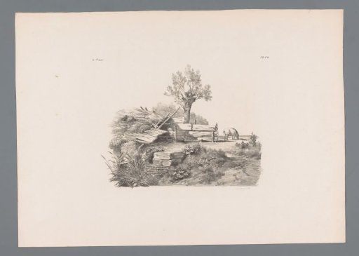 Landscape with collapsed house, pollard willow and pig