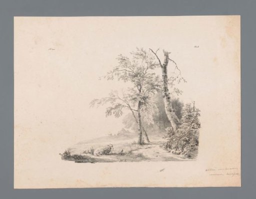 Landscape with sheep on a lead