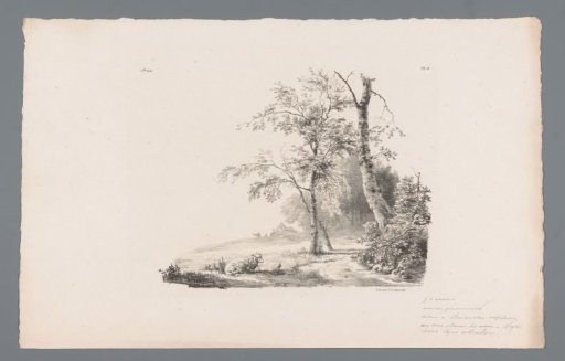 Landscape with sheep on a lead