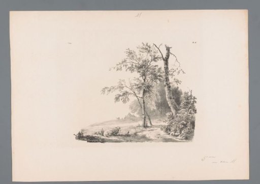 Landscape with sheep on a lead