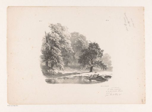 Lake in the wood