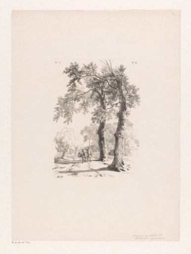 Man and donkey on a country road