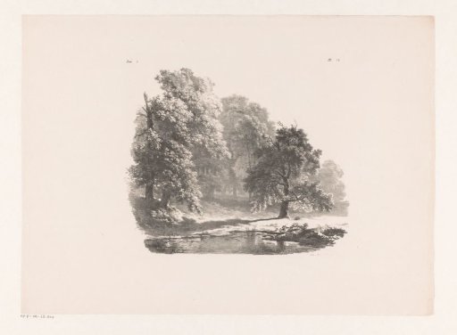 Lake in the wood