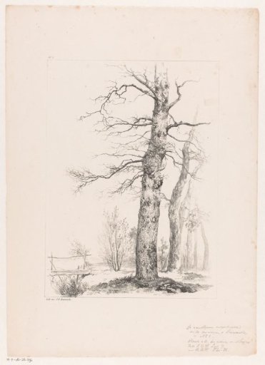 Trees and bridge in a landscape