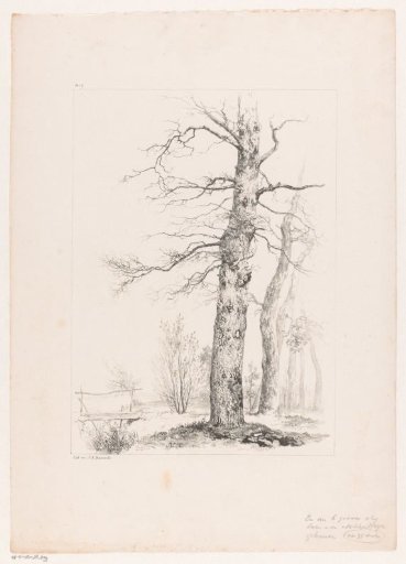 Trees and bridge in a landscape